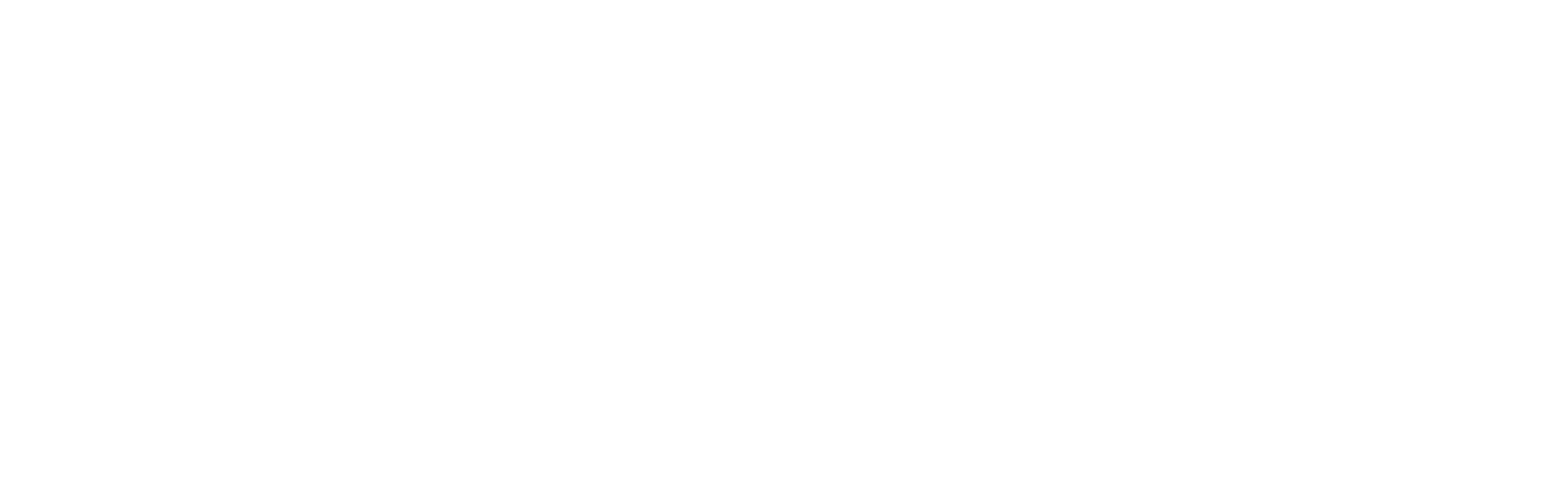 The Closet Company Logo White